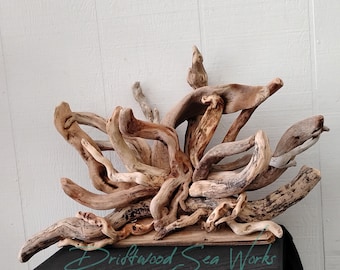 Natural Driftwood Art Wall Sculpture Rustic Beach Decor Coastal Wall Hanging