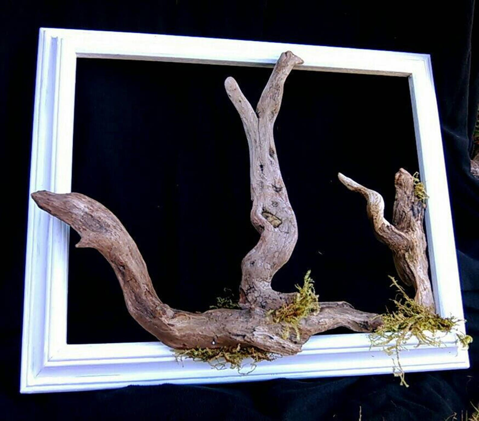 Driftwood Tree Frame Coastal Wall Art Unique Natural Wood Wall Etsy