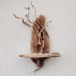 Driftwood Tree With Shelf Natural Driftwood Art Beach Style Wall Accent