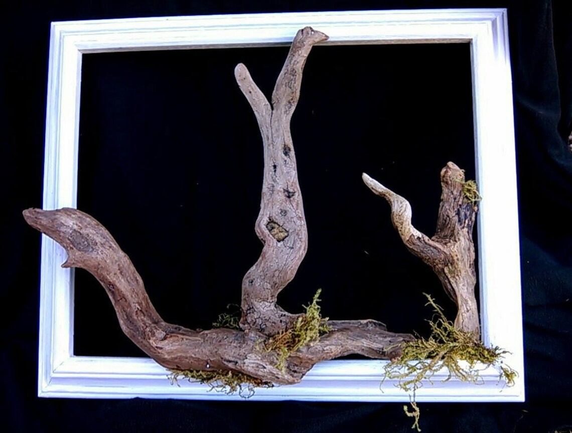 Driftwood Tree Frame Coastal Wall Art Unique Natural Wood Wall Etsy
