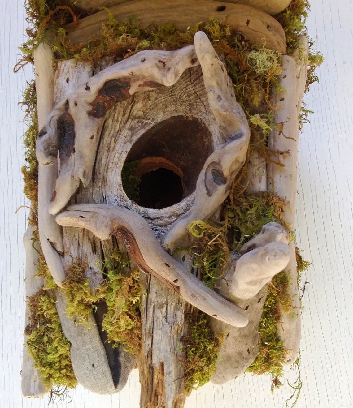 Driftwood Bird House Garden Outdoor Unique Tree Bark Birdhouse Etsy