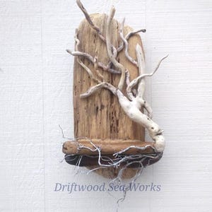 Natural Driftwood Tree Shelf Rustic Wood Wall Art