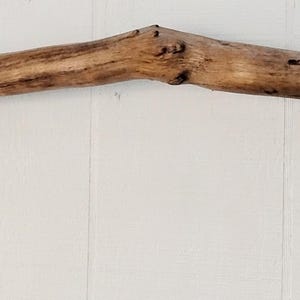 May include: A long, curved piece of natural driftwood with a smooth, weathered texture. The wood displays varied shades of light and medium brown, featuring a central knot and a darkened, rounded end, showcasing its organic, irregular shape.