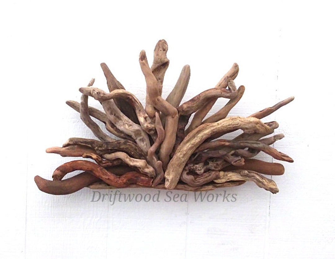 Natural Driftwood Art Wall Sculpture Etsy
