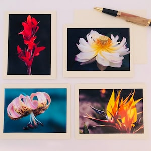 Künstler signiert Original Fotografie Notizkarten Briefumschlag, Recyclingpapier Made in the USA, Französisches Falt-Blanko innen, Foto abnehmbar zum Einrahmen