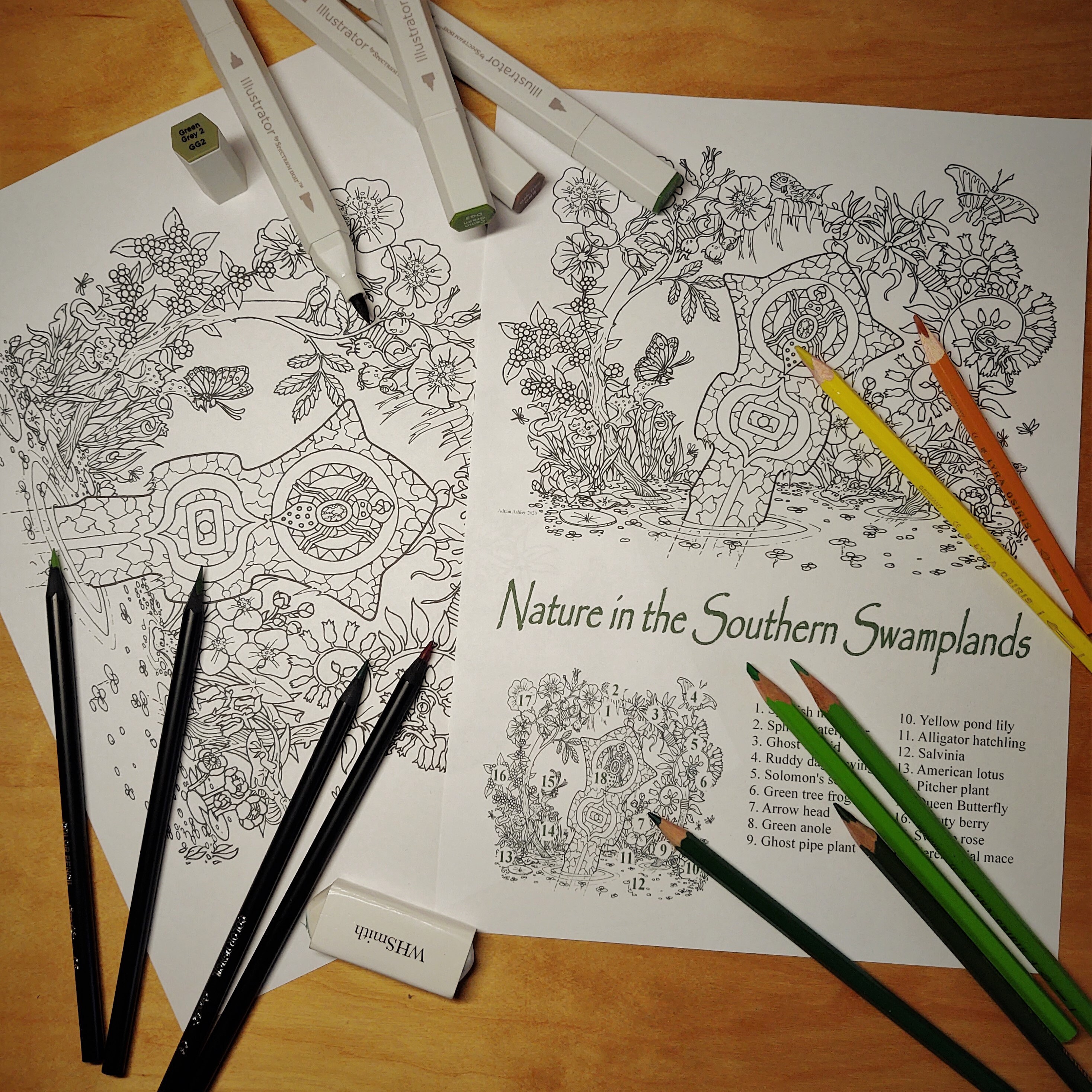 PDF colouring pages print at home Colour and Discover set Etsy