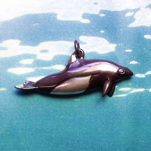 Silberne Halskette mit Dall-Schweinswal-Motiv, Anhänger mit Dall-Delfin, gefährdete Meeressäugerart. © Argent Aqua