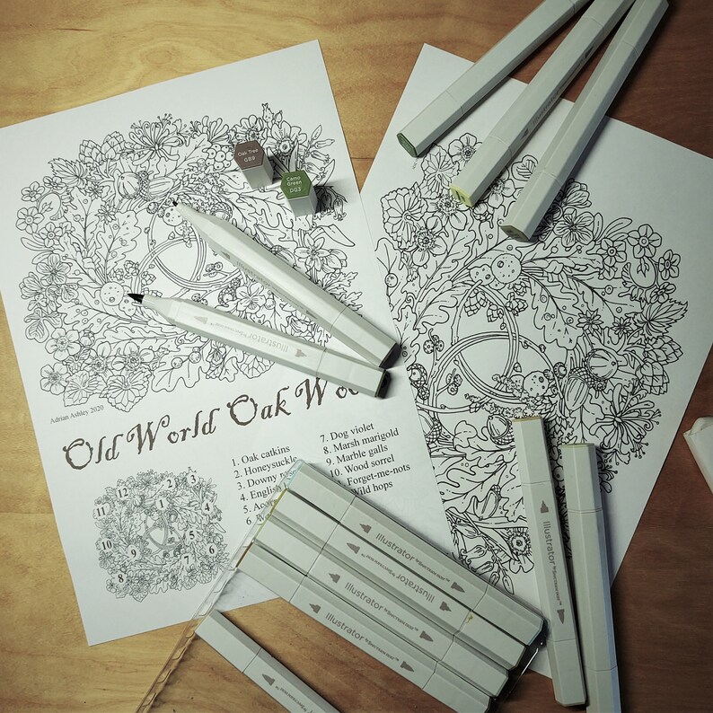 PDF colouring pages print at home 4 educational colouring Etsy