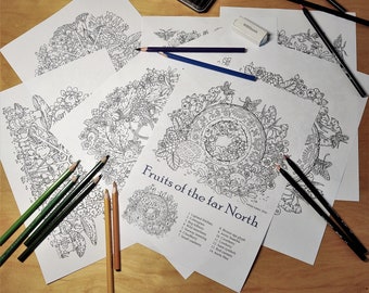 PDF colouring pages, print at home, 4 educational colouring PDF files, for adults and older children, Colour and Discover set one.