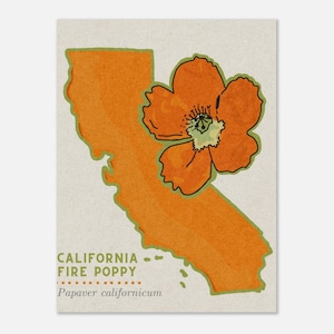 Papavero di fuoco della California - Classico poster su carta opaca - Natura Los Angeles SoCal San Diego Acquerello Arancione Arte Opera d'arte Viaggio Costa occidentale