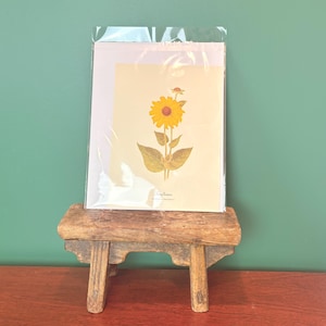 May include: A print of a sunflower in a clear plastic sleeve, resting on a small, rustic wooden stool. The sunflower has yellow petals and a brown center, with green leaves and stem. The background is a solid green.