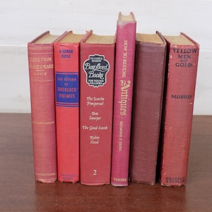Vintage Red and Burgandy Books - Collection of 6!