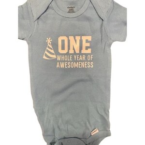 Pode incluir: Um body de beb&ecirc; azul claro com o texto "ONE WHOLE YEAR OF AWESOMENESS" em bege claro. Um desenho de chap&eacute;u de festa est&aacute; &agrave; esquerda da palavra "ONE". O body &eacute; feito de material macio.