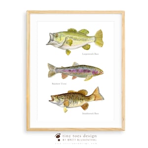 Fly Fishing Print, Fish Wall Decor, Man Cave Decor, Bass Fish Art, Fishing Gift, Stream Fish Watercolor Print, Lake House Decor, Angler Gift