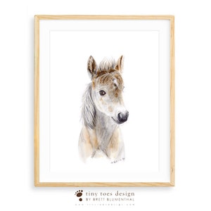 May include: Watercolor painting of a brown and white foal with a soft, fluffy mane. The foal is looking to the right of the image with a gentle expression.