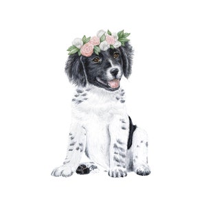 Puppy Dog, Dog Print, Dog Art Print, Dogs Art Print, Border Collie, Border Collies, Dog Portrait Print, Collie Dog Gift, Border Collie Art