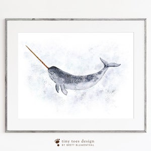 Narwhal, Whale Print, Narwhal Wall Art, Unicorn of the Sea, Whale Illustration, Nautical Nursery, Arctic Sea Life Print, Ocean Animal