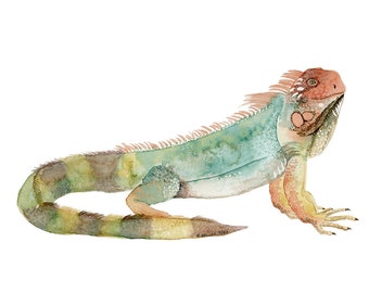 iguana poster iguana print iguana art green iguana Iguana watercolor iguana iguana watercolor iguana art print
