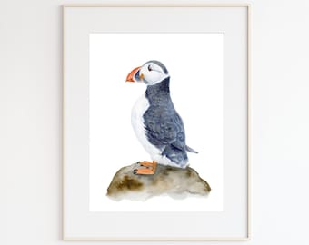 Atlantic Puffin Watercolor, Puffin Illustration, Arctic Bird Wall Decor, Seabird Print, Cute Puffin Print, Coastal Decor, Audobon Wall Art