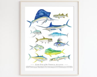 Game Fish Print, Tropical Fish Wall Art, Watercolor Fish, Fishing Gifts for Men, Florida Fish Decor, Atlantic Fish Poster, Caribbean Fish
