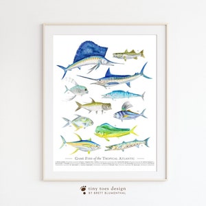 Game Fish Print, Tropical Fish Wall Art, Watercolor Fish, Fishing Gifts for Men, Florida Fish Decor, Atlantic Fish Poster, Caribbean Fish