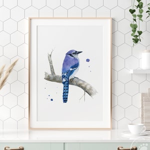Blue Jay Watercolor, Jay Art Print, Audubon Print, Birding Gift, Magpie Painting, Toronto Blue Jays Gift, Canadian Bird Decor, Avian Art