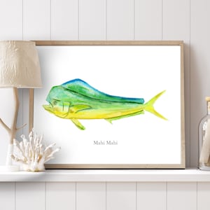 May include: A watercolor painting of a mahi mahi fish with a yellow, green, and blue color scheme. The fish is swimming to the right and the text "Mahi Mahi" is printed below the fish.