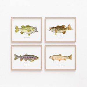 May include: Four framed watercolor prints of fish: Largemouth Bass, Smallmouth Bass, Rainbow Trout, and Cutthroat Trout. Each fish is depicted in detail with its name below. The frames are light brown.