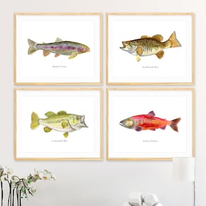 Lake Fish Art, Fish Watercolor Print Set, Fish Wall Art Set, Fishing Prints, Fly Fishing Gift, Fish Wall Art, Lake House Cabin Fish Decor