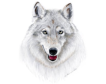 Wolf Print, Wolf Watercolor Painting, Home Decor, Woodland Animal Wall Art, Wildlife Drawing, Gray White Wolf, Saint Francis Wolf Sanctuary