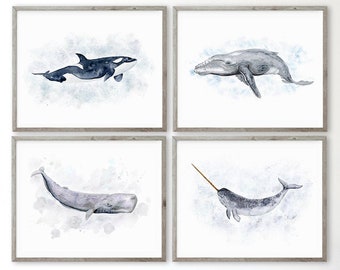 Whale Nursery Art, Ocean Nursery Decor, Whale Print Set of 4, Whale Prints, Ocean Wall Art, Humpback Whale, Narwhal, Orca, Customize Choices