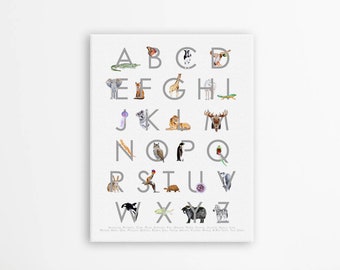 Animal Alphabet Nursery Canvas Print, Educational Kids Wall Art