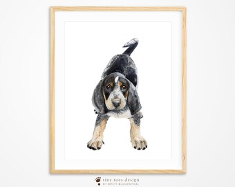 Coonhound Decor Etsy