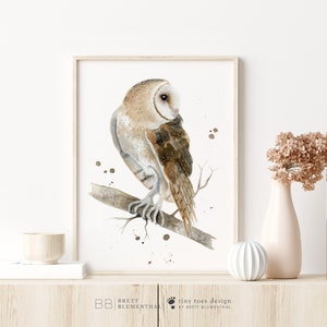 Barn Owl Watercolor, Bird Art, Owl Art Print, Audobon Print, Barn Owl Wall Art, Bird of Prey Print, Birding Gift, Woodland Home Decor