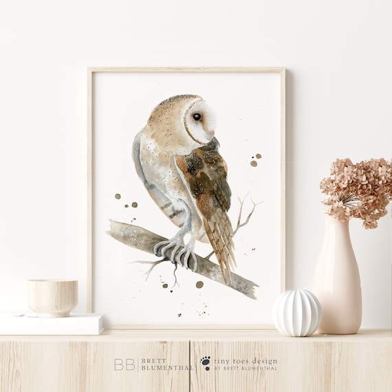 Posters y Vinilos de Lechuzas - Oferta Limitada en Stock