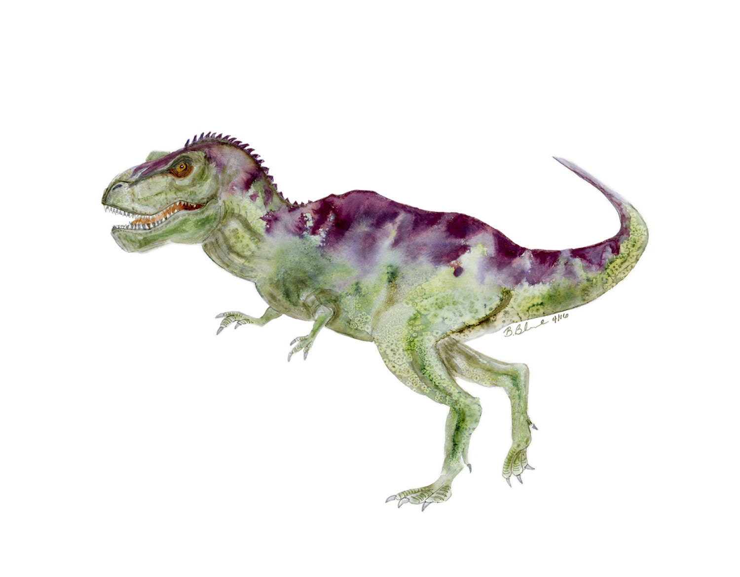 Photos Art Dinosaure Aquarelle, 68 000+ photos de haute