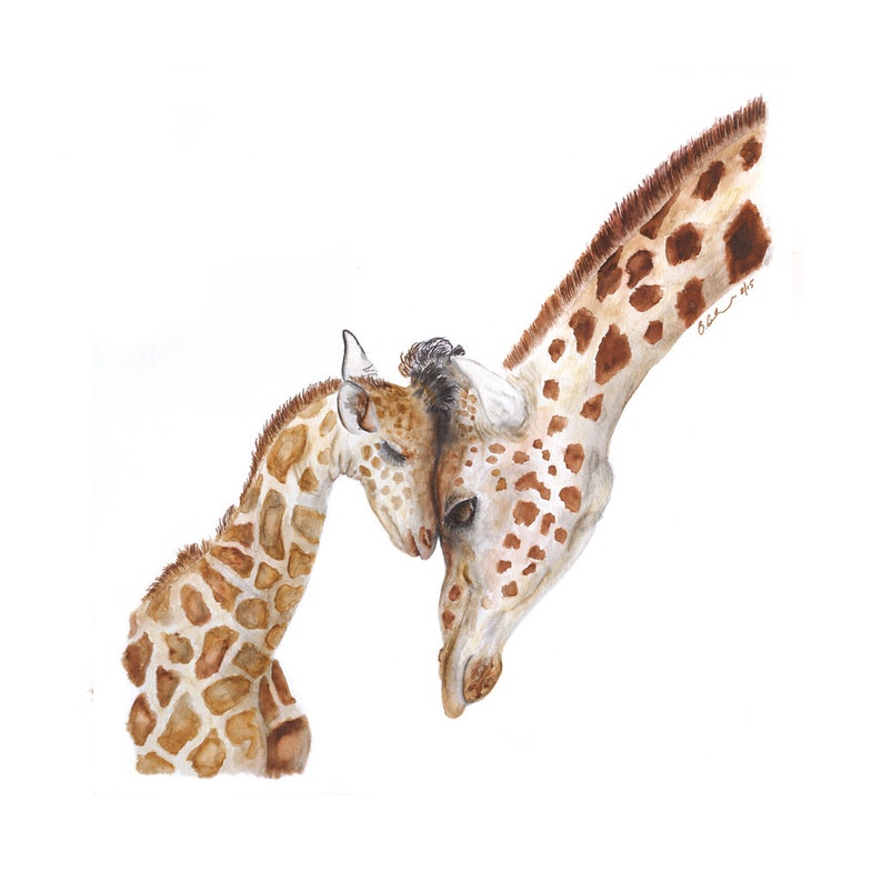 Pode incluir: Uma pintura em aquarela de uma girafa m&atilde;e e seu filhote de girafa se aninhando um no outro. A girafa m&atilde;e tem uma pelagem marrom e bege com padr&atilde;o, enquanto o filhote de girafa tem uma pelagem marrom e bege mais clara com padr&atilde;o. A pintura &eacute; sobre um fundo branco.