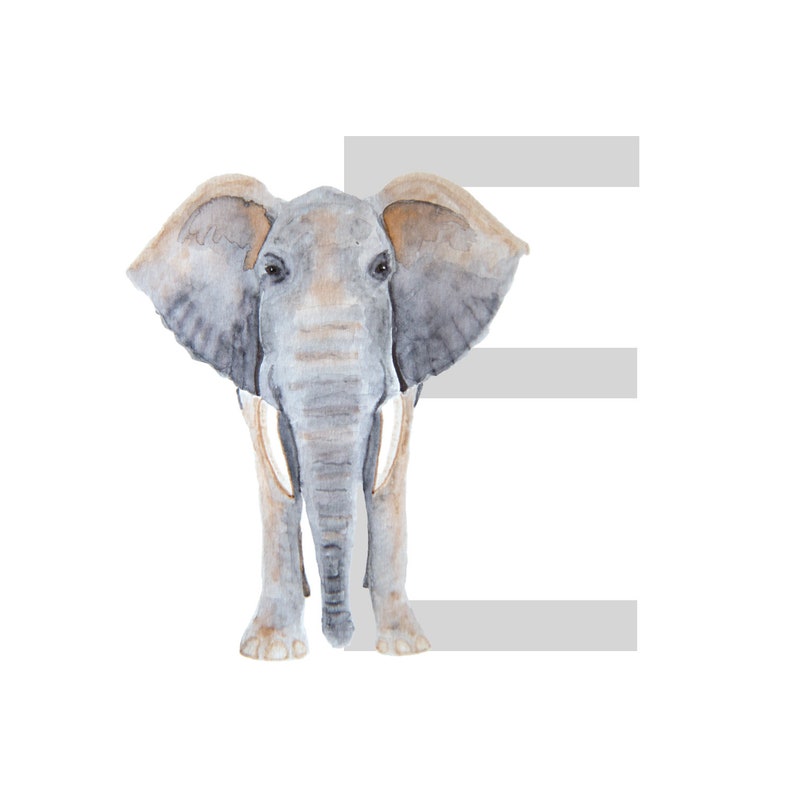 Nursery Alphabet Art Wall Art for Nursery Alphabet Nursery Etsy