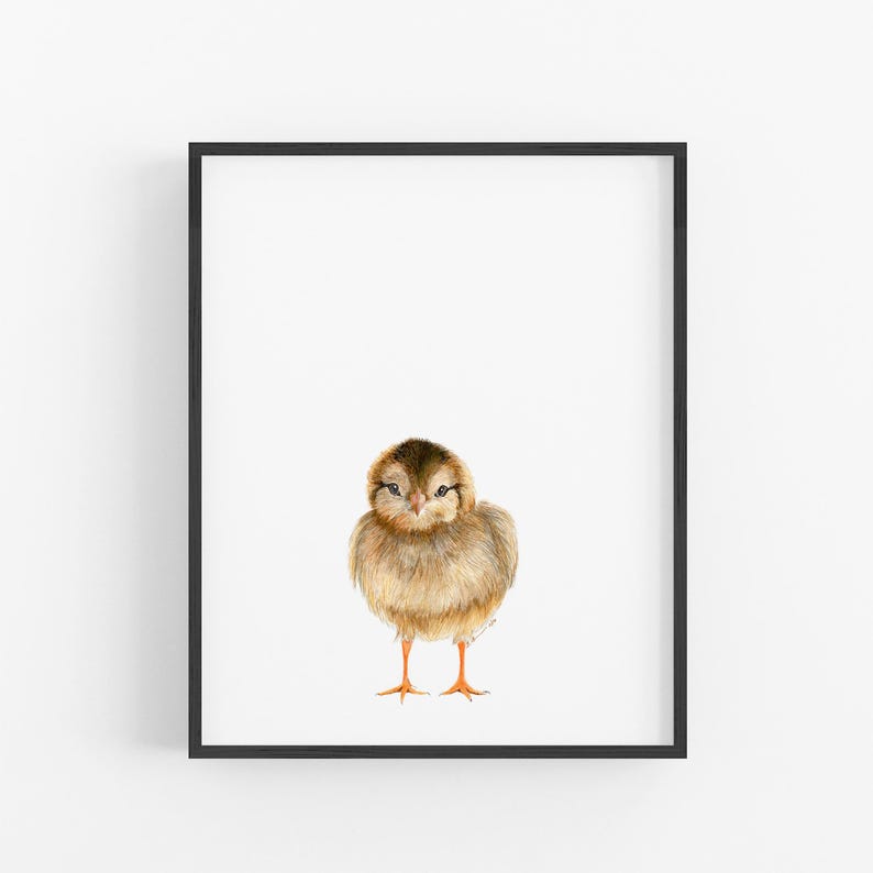 A framed print of a cute, fluffy chick standing on one leg against a white background.