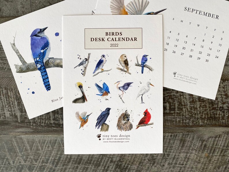 Audubon Calendar 2022 2022 Bird Calendar Desk Calendar Calendar With Stand | Etsy Singapore