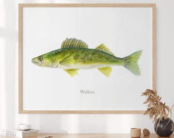 Snoekbaarzen aquarelprint, zoetwatervissen muurkunst, decor meer