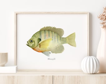 Bluegill Watercolor Print, Freshwater Fish Wall Art, Lake Decor