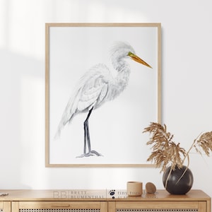 Zilverreiger schilderij, kunst aan de muur vogel, Heron aquarel, Wetland Bird Print, Marsh Wildlife, zilverreiger print, witte en grijze artwork, besneeuwde zilverreiger, pluim