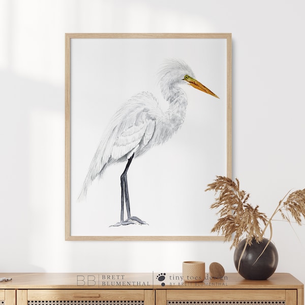 Peinture aigrette, art mural oiseau, aquarelle de héron, impression d'oiseau des zones humides, faune des marais, impression d'aigrette, oeuvre d'art blanche et grise, aigrette des neiges, panache