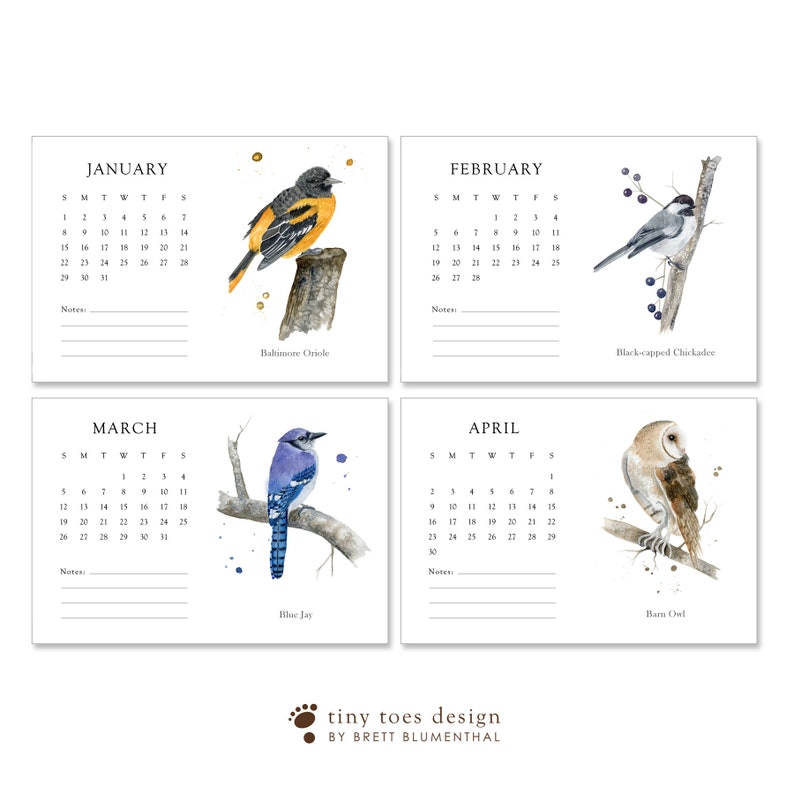 2023 Bird Calendar Desk Calendar Calendar With Stand Etsy