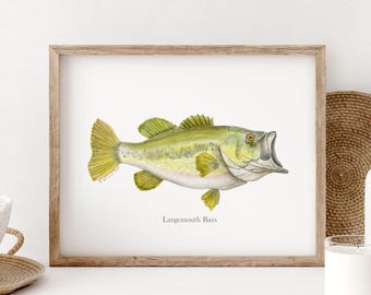 Largemouth Bass Watercolor Print, Freshwater Fish Wall Art, Lake Decor