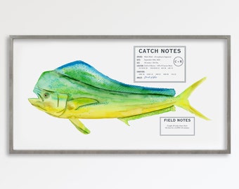 Custom Mahi Mahi Wall Art, Dorado Watercolor, Fishing Gift, Catch Notes, Field Notes, Art Print Fish Mount, Father's Day Gift, Gift for Him