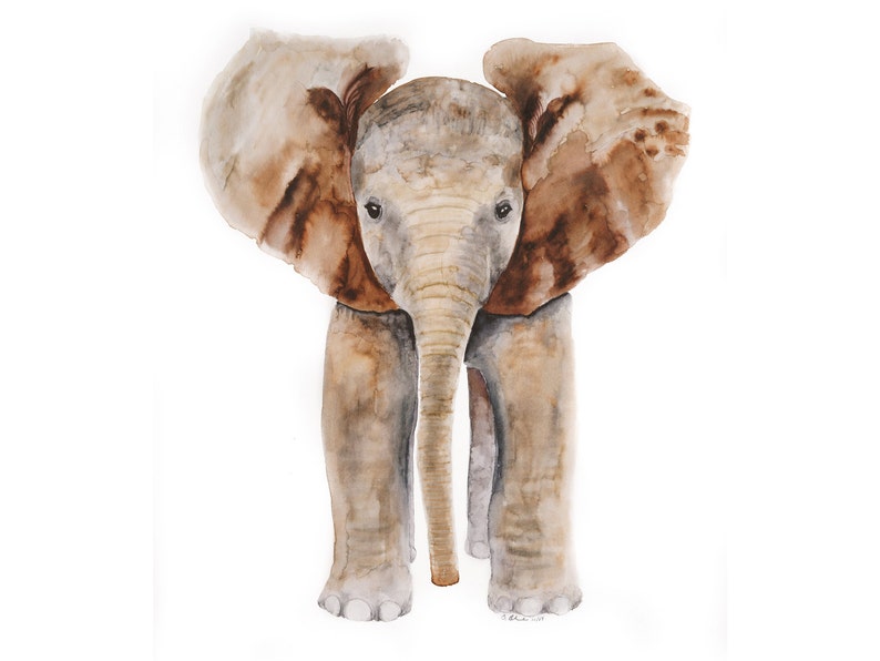 Elephant Art Nursery Art Baby Elephant Elephant Watercolor Etsy