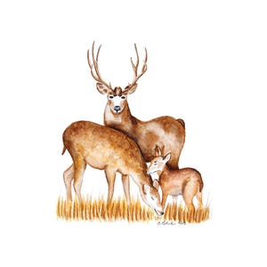 Woodland Animal Family Print Set of 6, Nursery Wall Art image 5
