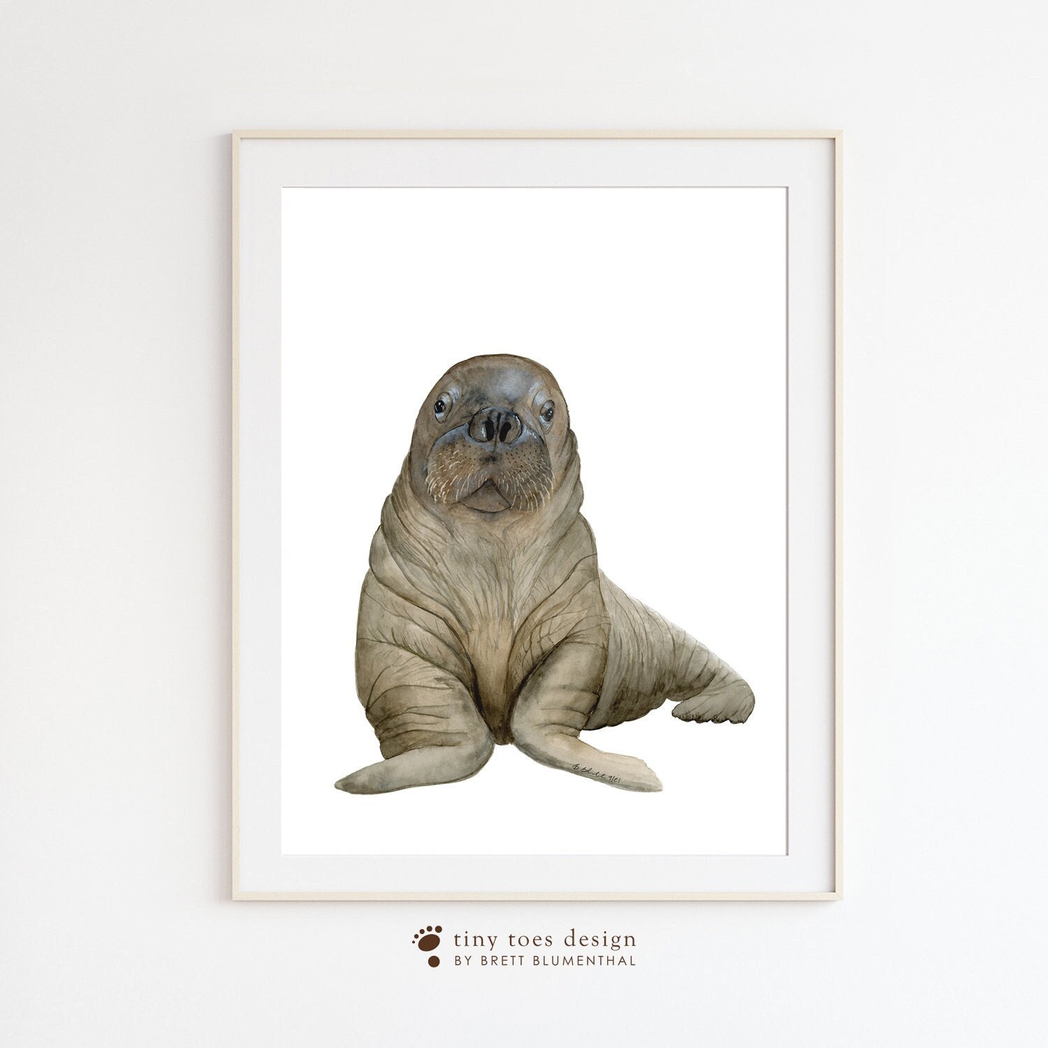 Baby Walrus Art Walrus Nursery Print Ocean Nursery Decor Etsy